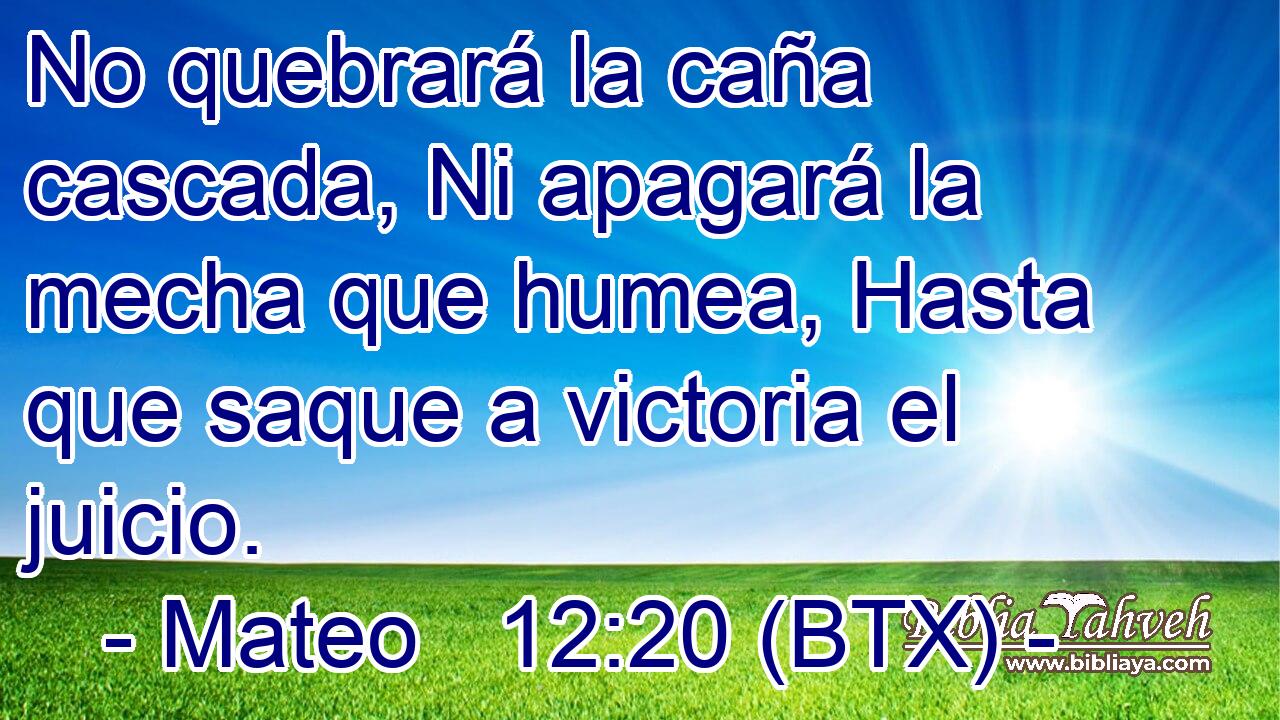 No quebrará la caña cascada, Ni apagará la mecha que humea, Hasta que saque a victoria el juicio.