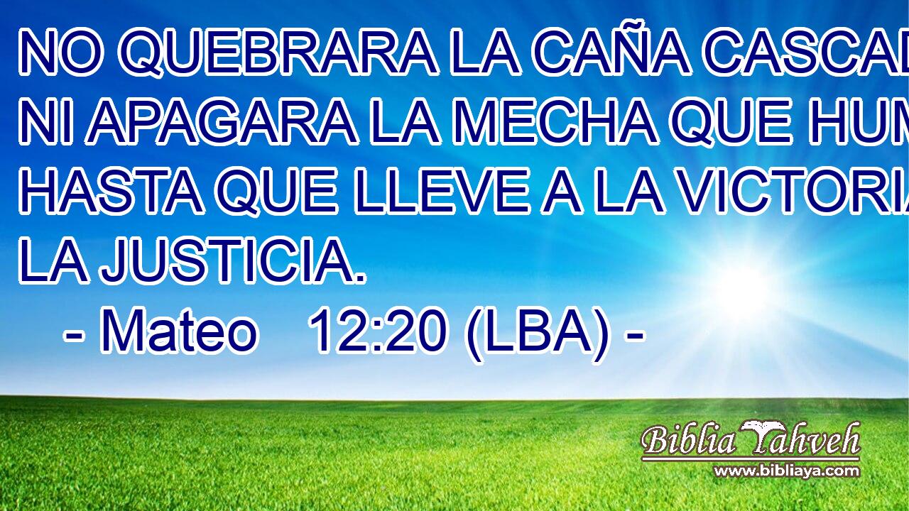NO QUEBRARA LA CAÑA CASCADA, NI APAGARA LA MECHA QUE HUMEA, HASTA QUE LLEVE A LA VICTORIA LA JUSTICIA.