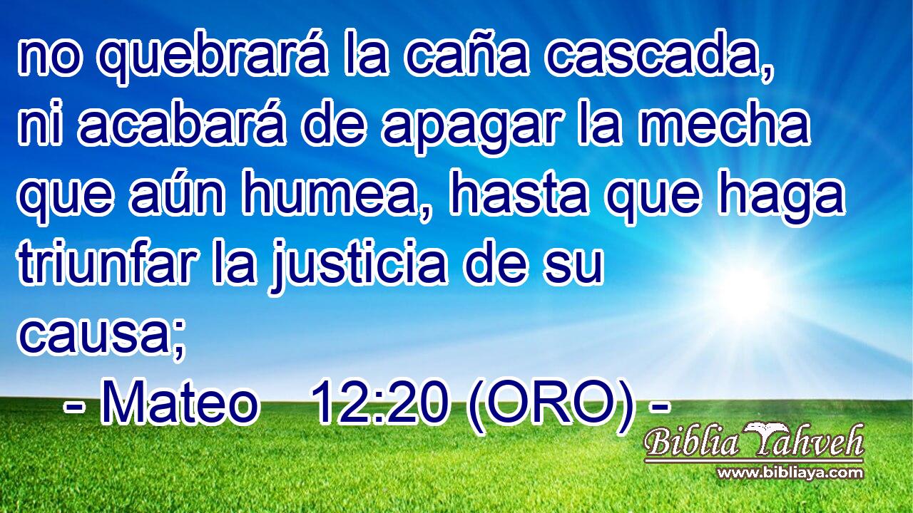  no quebrará la caña cascada, ni acabará de apagar la mecha que aún humea, hasta que haga triunfar la justicia de su causa; 