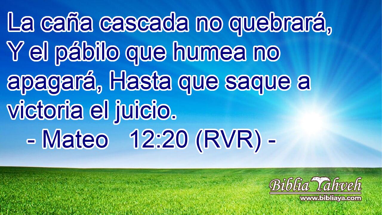 La caña cascada no quebrará, Y el pábilo que humea no apagará, Hasta que saque a victoria el juicio.
