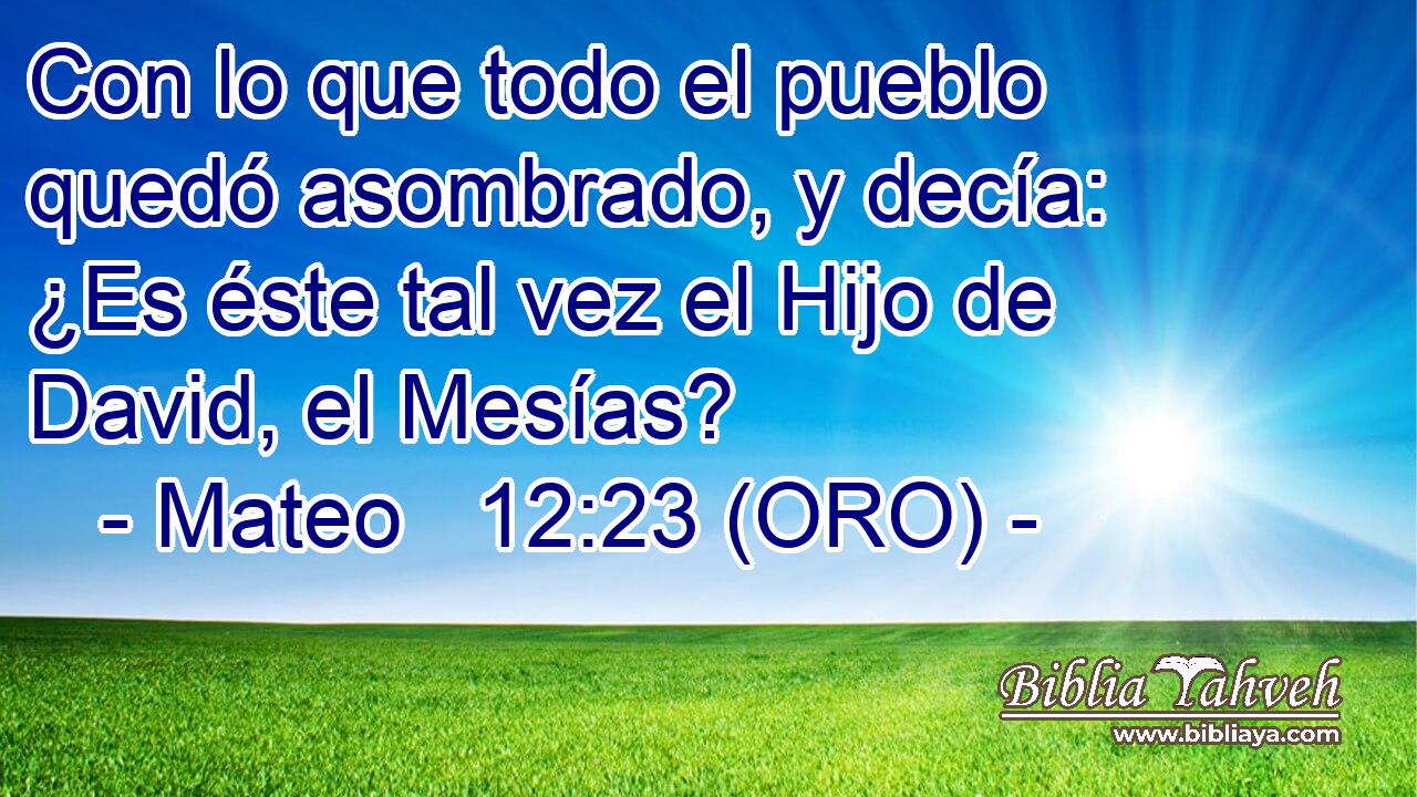  Con lo que todo el pueblo quedó asombrado, y decía: ¿Es éste tal vez el Hijo de David, el Mesías? 