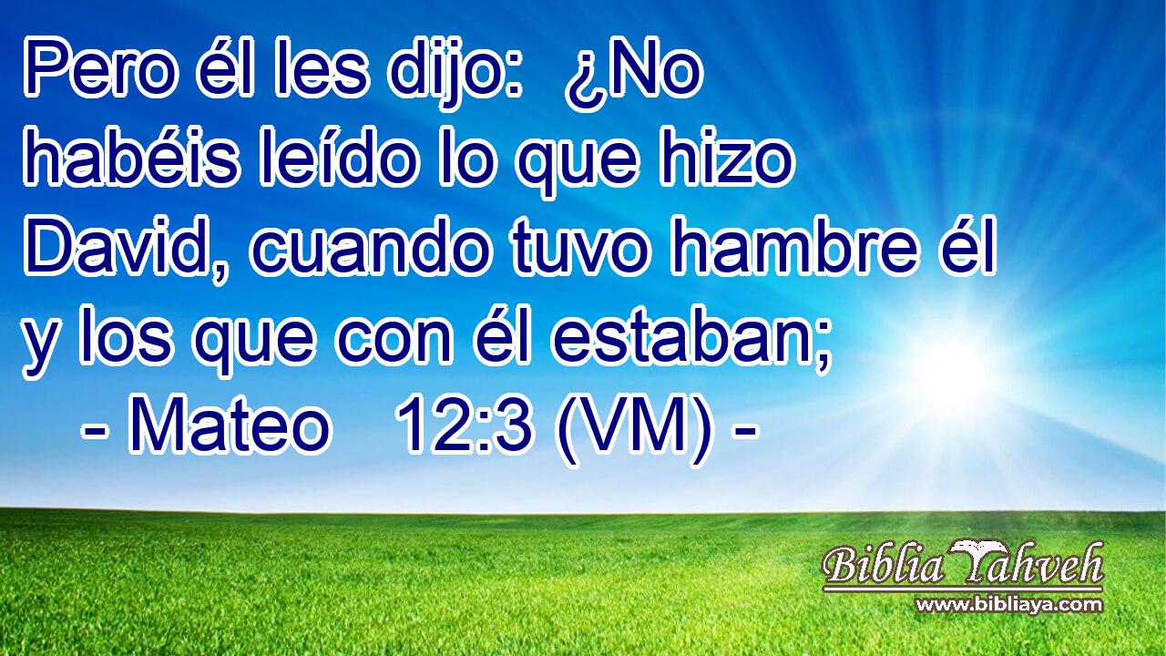  Pero él les dijo:  ¿No habéis leído lo que hizo David, cuando tuvo hambre él y los que con él estaban; 