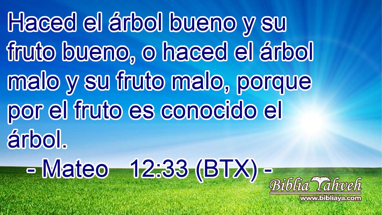 Haced el árbol bueno y su fruto bueno, o haced el árbol malo y su fruto malo, porque por el fruto es conocido el árbol.