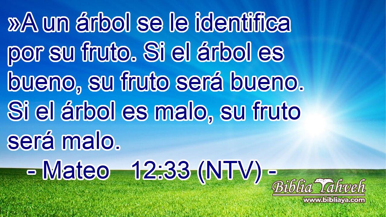 »A un árbol se le identifica por su fruto. Si el árbol es bueno, su fruto será bueno. Si el árbol es malo, su fruto será malo.