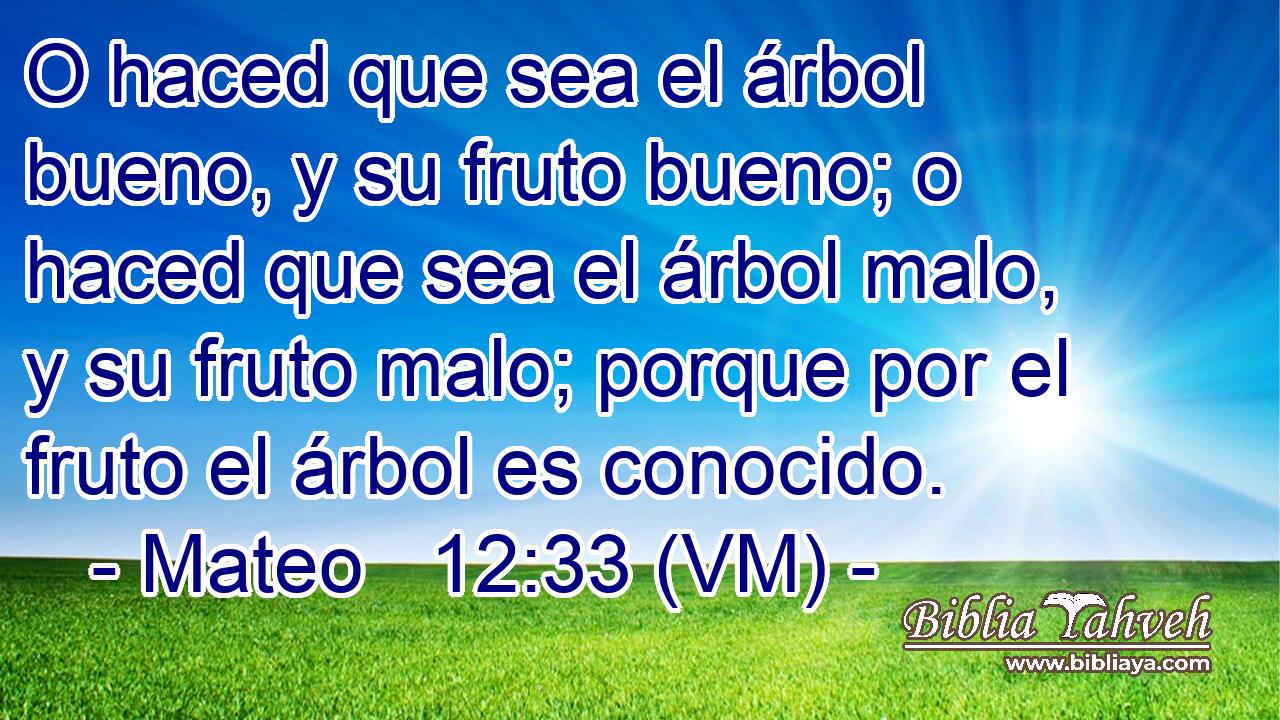  O haced que sea el árbol bueno, y su fruto bueno; o haced que sea el árbol malo, y su fruto malo; porque por el fruto el árbol es conocido. 