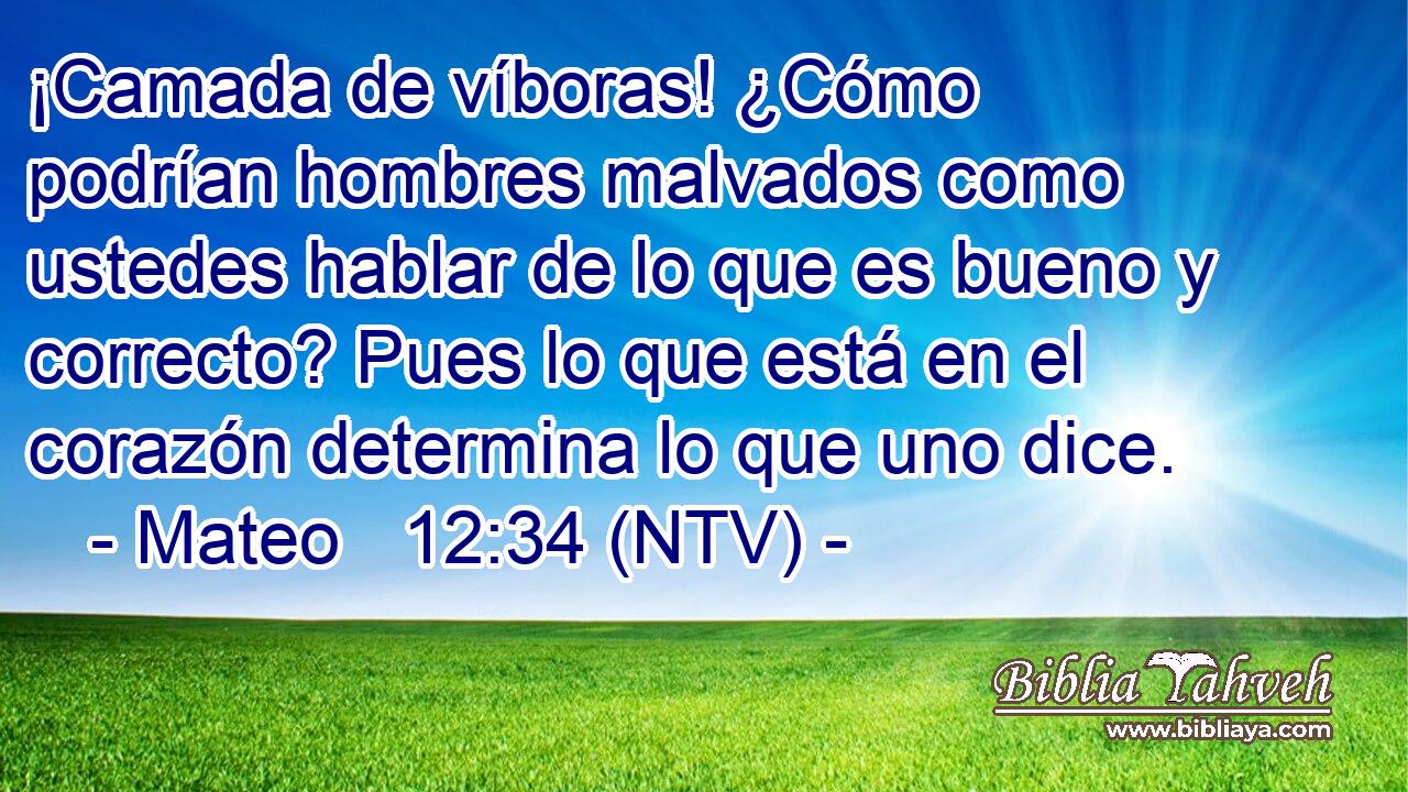 ¡Camada de víboras! ¿Cómo podrían hombres malvados como ustedes hablar de lo que es bueno y correcto? Pues lo que está en el corazón determina lo que uno dice.