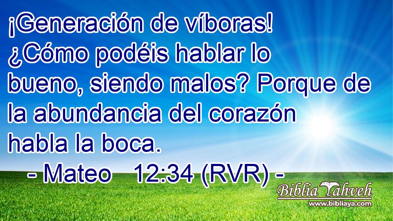 ¡Generación de víboras! ¿Cómo podéis hablar lo bueno, siendo malos? Porque de la abundancia del corazón habla la boca.