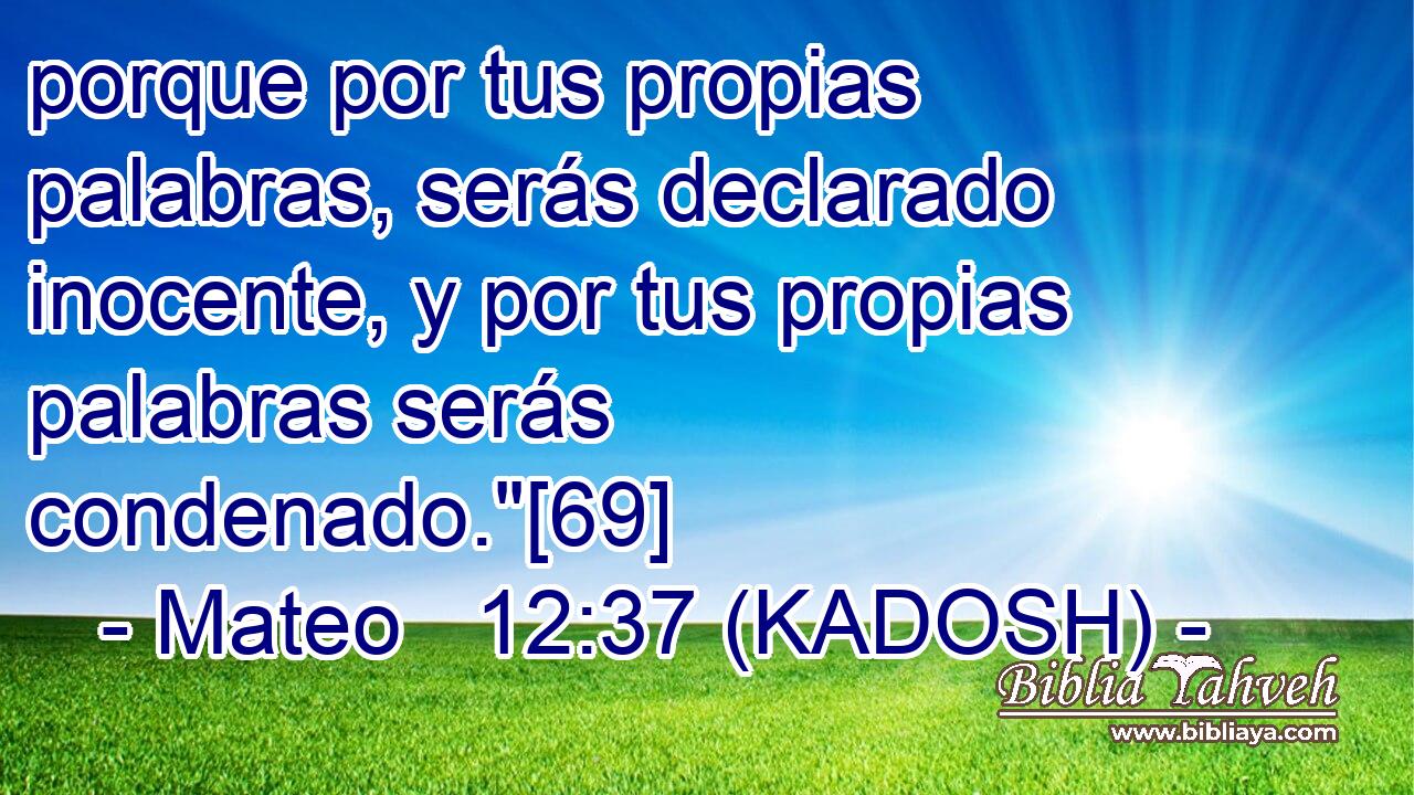  porque por tus propias palabras, serás declarado inocente, y por tus propias palabras serás condenado.