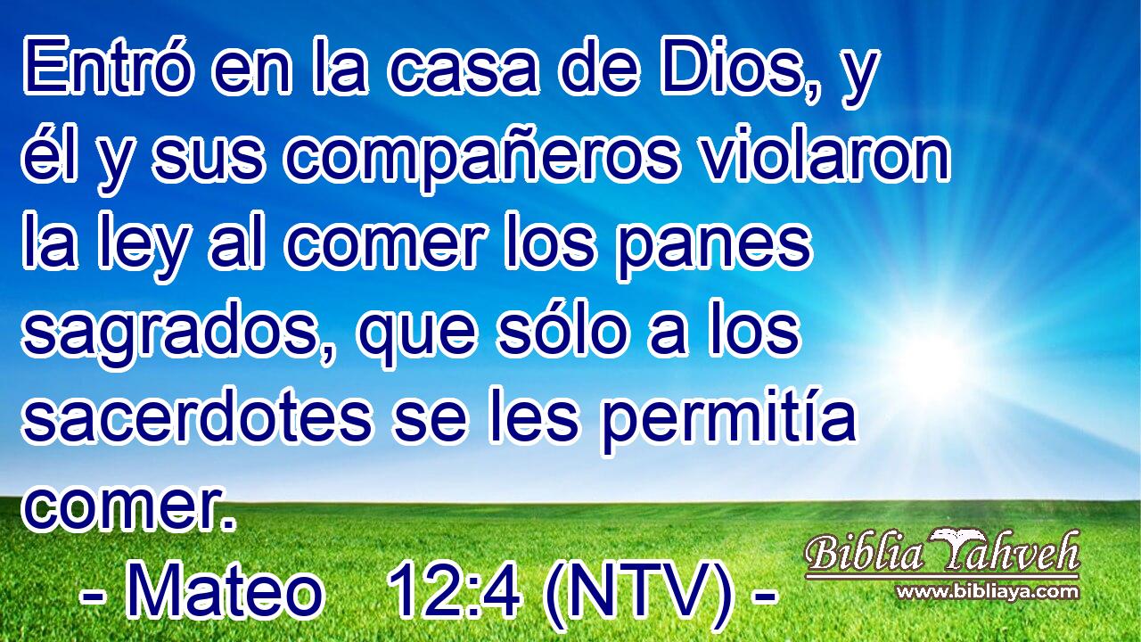 Entró en la casa de Dios, y él y sus compañeros violaron la ley al comer los panes sagrados, que sólo a los sacerdotes se les permitía comer.