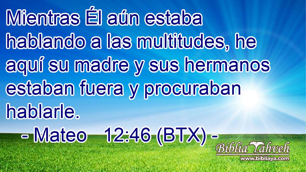Mientras Él aún estaba hablando a las multitudes, he aquí su madre y sus hermanos estaban fuera y procuraban hablarle.