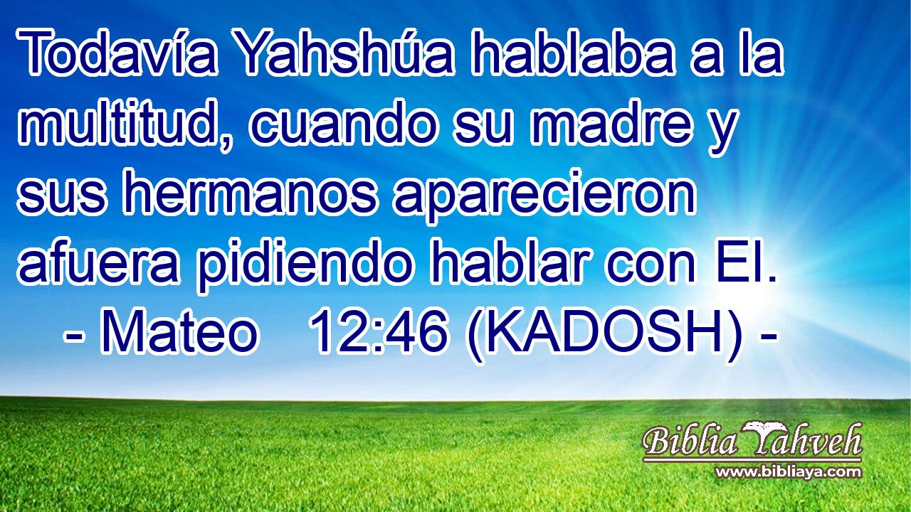  Todavía Yahshúa hablaba a la multitud, cuando su madre y sus hermanos aparecieron afuera pidiendo hablar con El. 