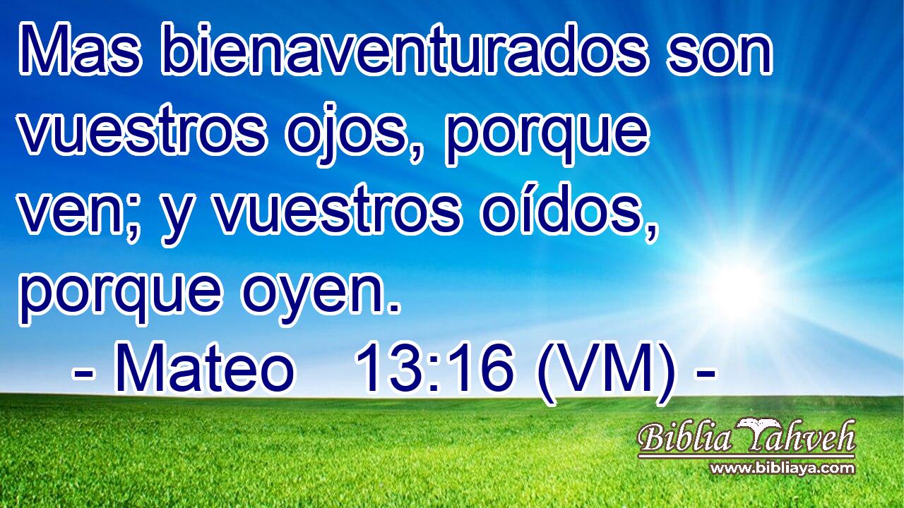  Mas bienaventurados son vuestros ojos, porque ven; y vuestros oídos, porque oyen. 