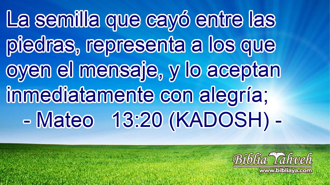  La semilla que cayó entre las piedras, representa a los que oyen el mensaje, y lo aceptan inmediatamente con alegría; 
