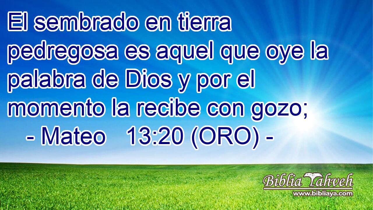  El sembrado en tierra pedregosa es aquel que oye la palabra de Dios y por el momento la recibe con gozo; 