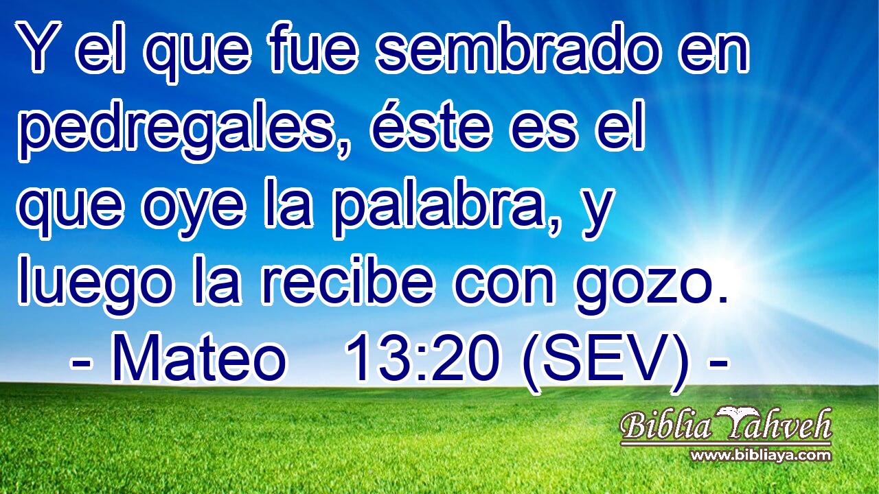Y el que fue sembrado en pedregales, éste es el que oye la palabra, y luego la recibe con gozo.