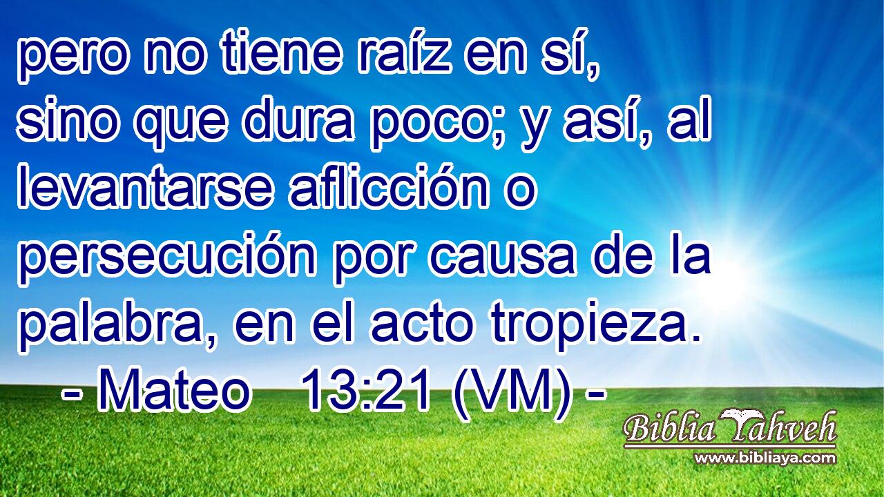  pero no tiene raíz en sí, sino que dura poco; y así, al levantarse aflicción o persecución por causa de la palabra, en el acto tropieza. 