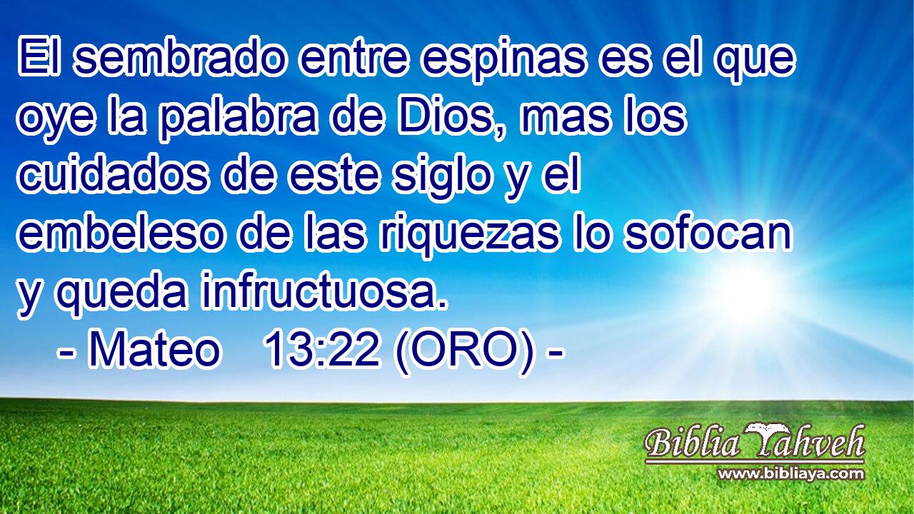  El sembrado entre espinas es el que oye la palabra de Dios, mas los cuidados de este siglo y el embeleso de las riquezas lo sofocan y queda infructuosa. 