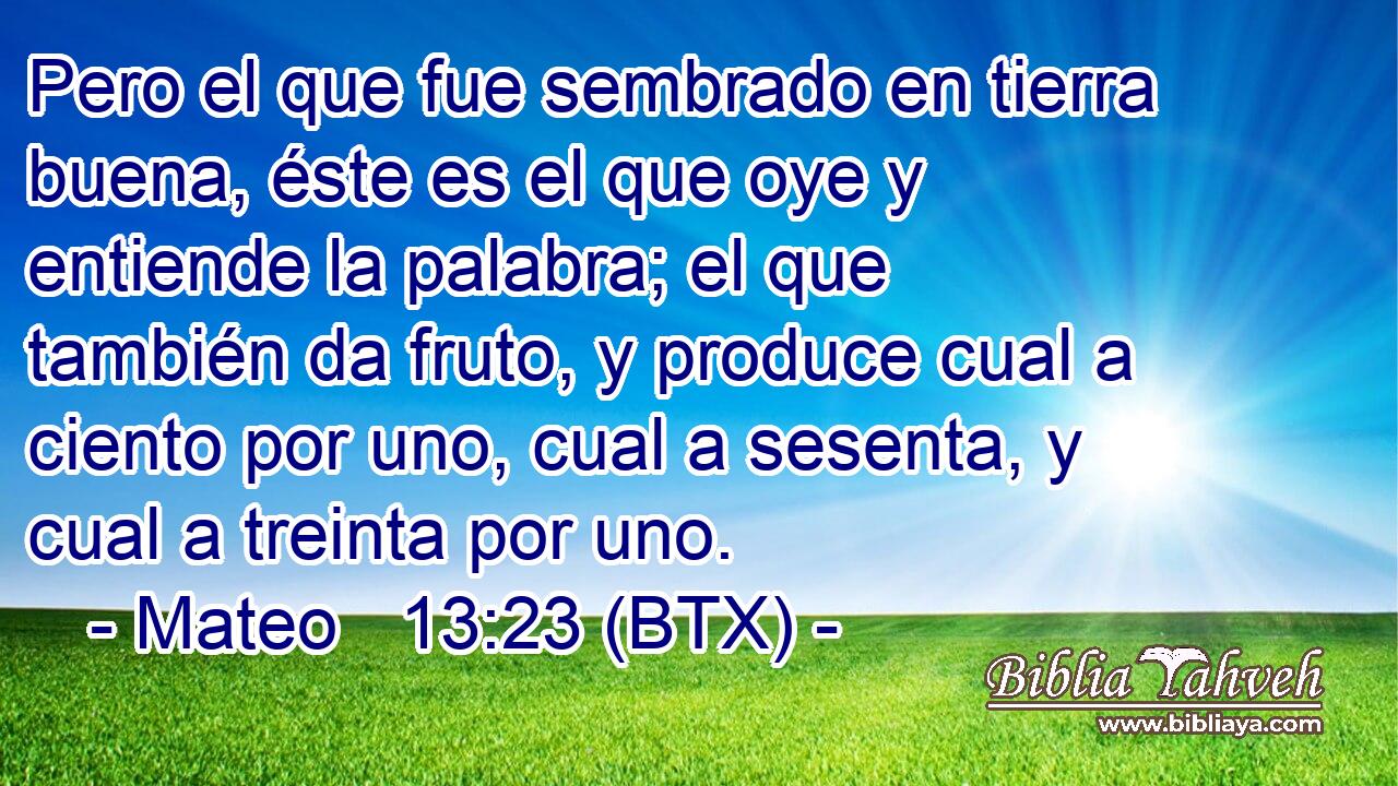 Pero el que fue sembrado en tierra buena, éste es el que oye y entiende la palabra; el que también da fruto, y produce cual a ciento por uno, cual a sesenta, y cual a treinta por uno.