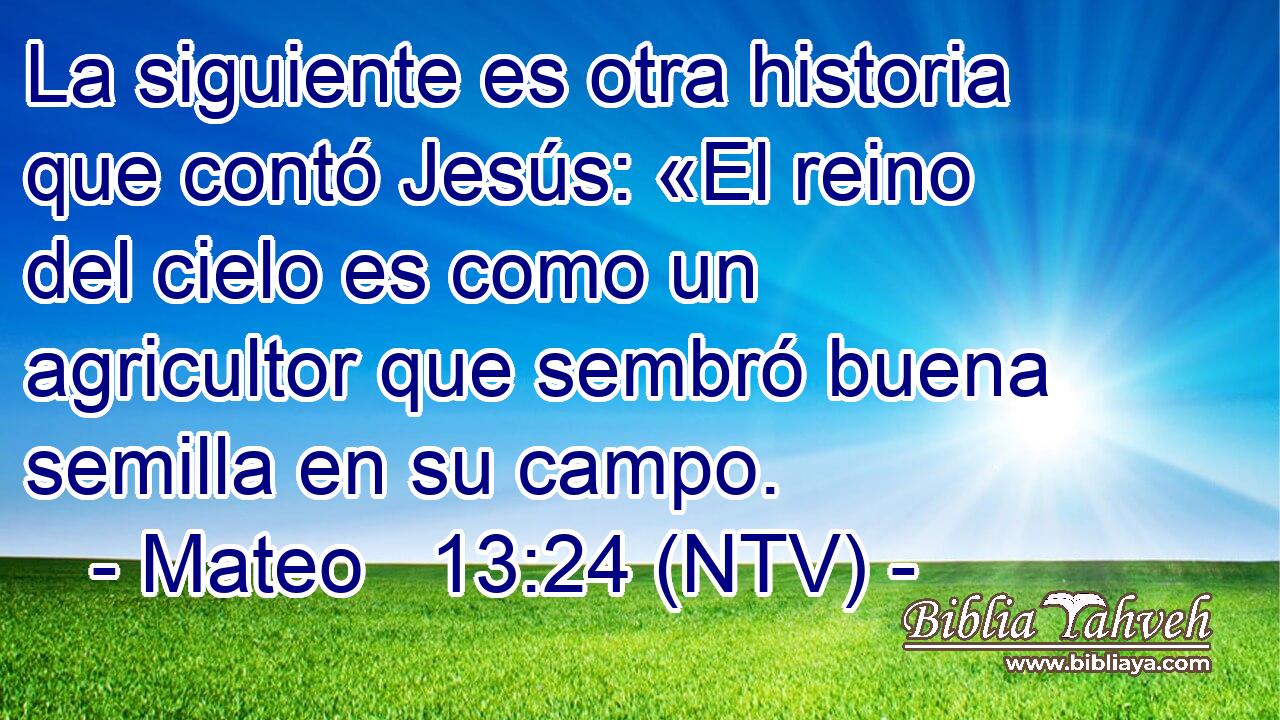 La siguiente es otra historia que contó Jesús: «El reino del cielo es como un agricultor que sembró buena semilla en su campo.