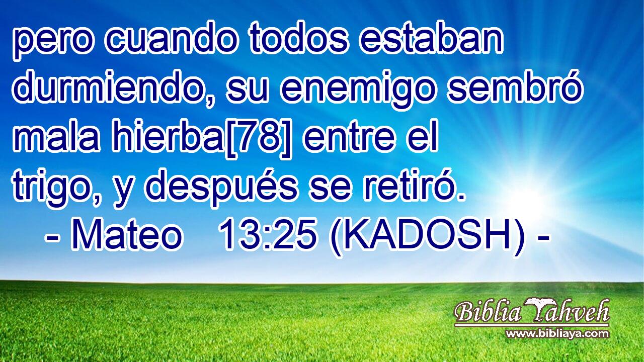  pero cuando todos estaban durmiendo, su enemigo sembró mala hierba[78] entre el trigo, y después se retiró. 