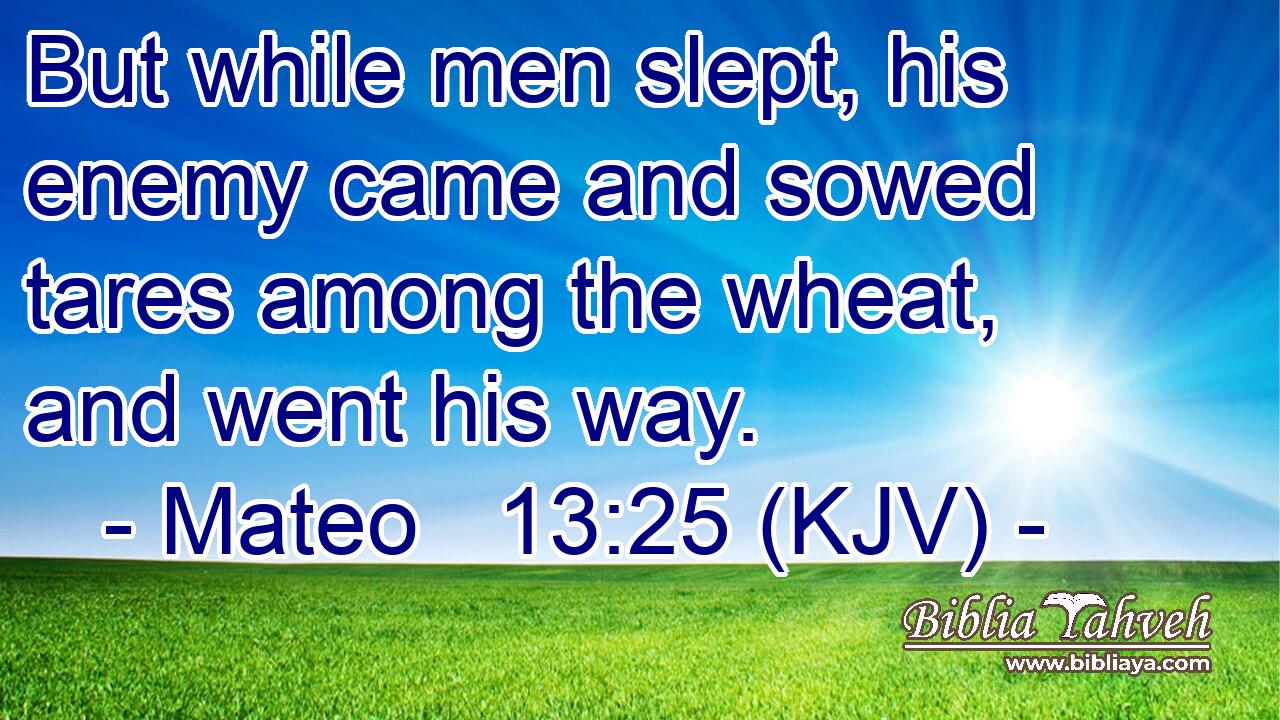 But while men slept, his enemy came and sowed tares among the wheat, and went his way.