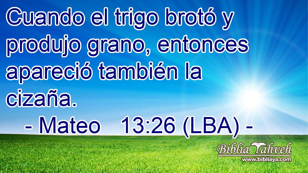 Cuando el trigo brotó y produjo grano, entonces apareció también la cizaña.