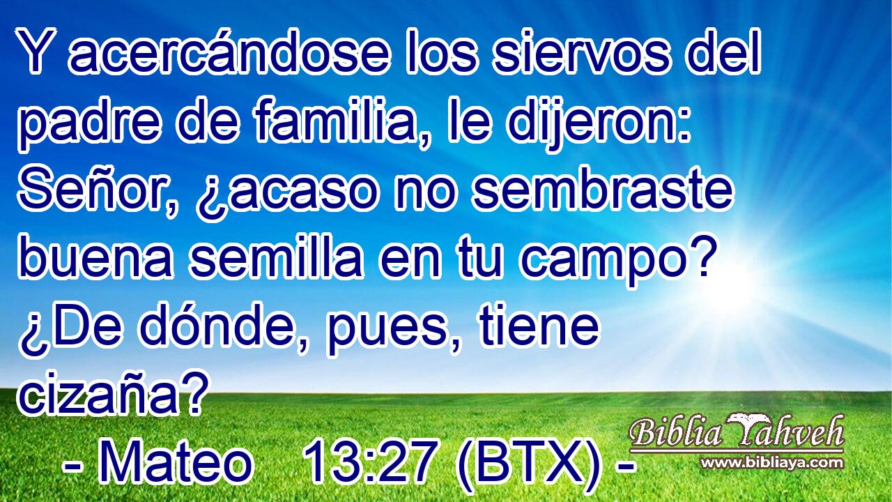 Y acercándose los siervos del padre de familia, le dijeron: Señor, ¿acaso no sembraste buena semilla en tu campo? ¿De dónde, pues, tiene cizaña?