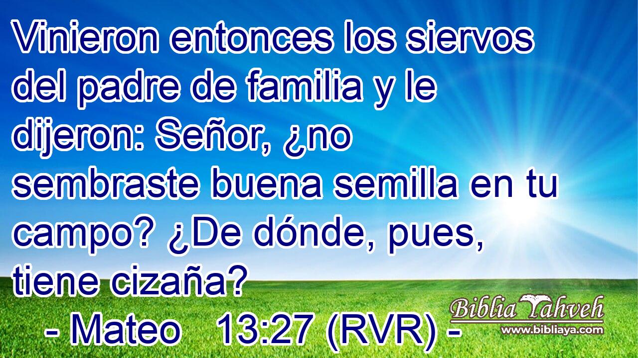 Vinieron entonces los siervos del padre de familia y le dijeron: Señor, ¿no sembraste buena semilla en tu campo? ¿De dónde, pues, tiene cizaña?
