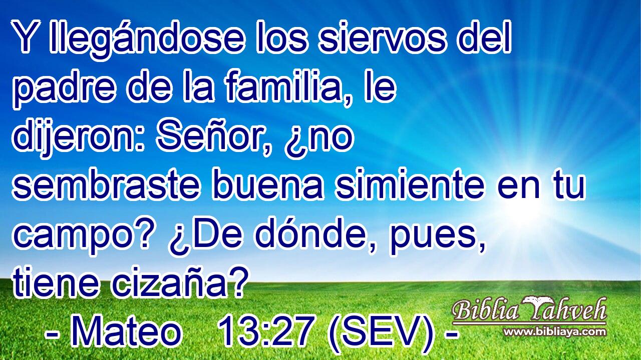 Y llegándose los siervos del padre de la familia, le dijeron: Señor, ¿no sembraste buena simiente en tu campo? ¿De dónde, pues, tiene cizaña?