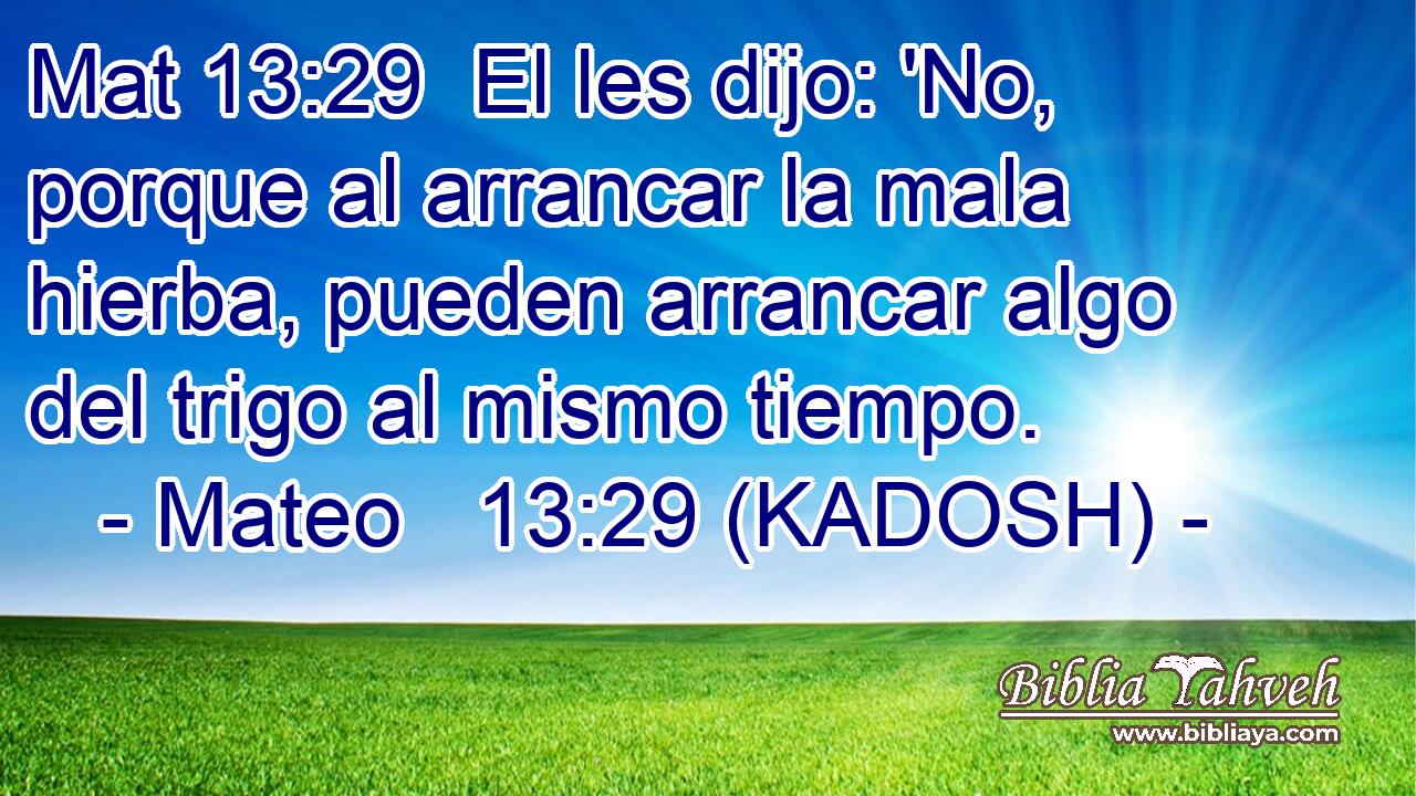  El les dijo: 'No, porque al arrancar la mala hierba, pueden arrancar algo del trigo al mismo tiempo. 