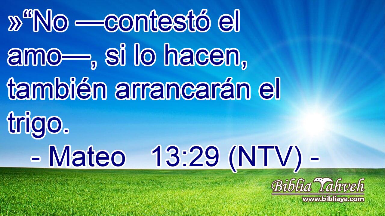 »“No —contestó el amo—, si lo hacen, también arrancarán el trigo.