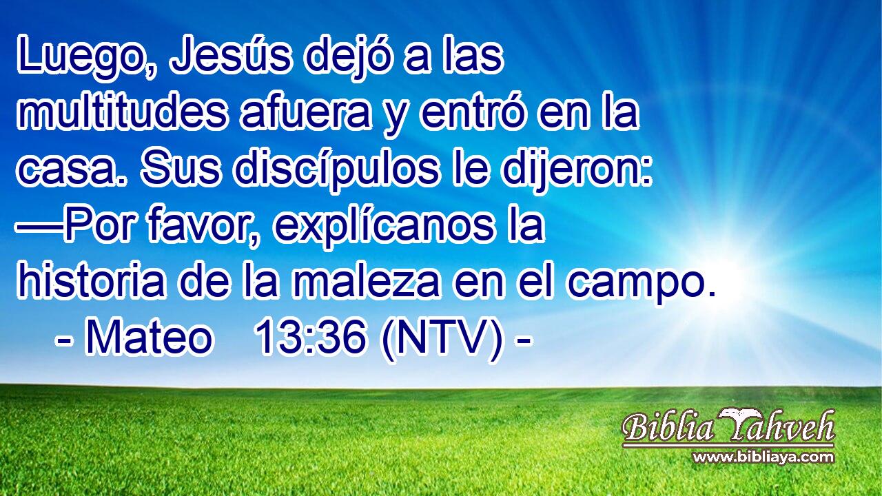 Luego, Jesús dejó a las multitudes afuera y entró en la casa. Sus discípulos le dijeron: —Por favor, explícanos la historia de la maleza en el campo.