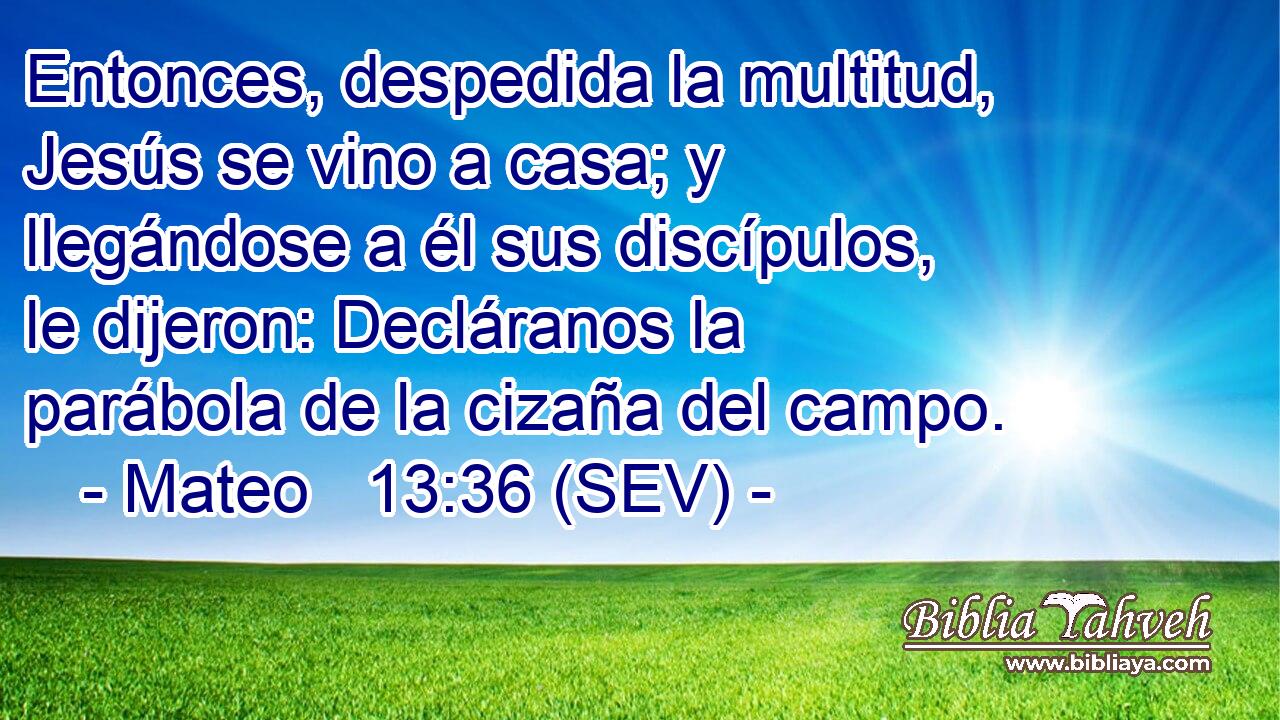 Entonces, despedida la multitud, Jesús se vino a casa; y llegándose a él sus discípulos, le dijeron: Decláranos la parábola de la cizaña del campo.