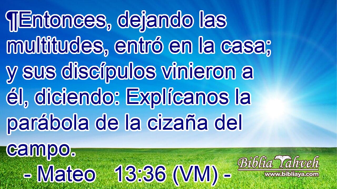  ¶Entonces, dejando las multitudes, entró en la casa; y sus discípulos vinieron a él, diciendo: Explícanos la parábola de la cizaña del campo. 