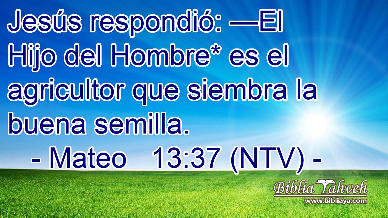 Jesús respondió: —El Hijo del Hombre* es el agricultor que siembra la buena semilla.