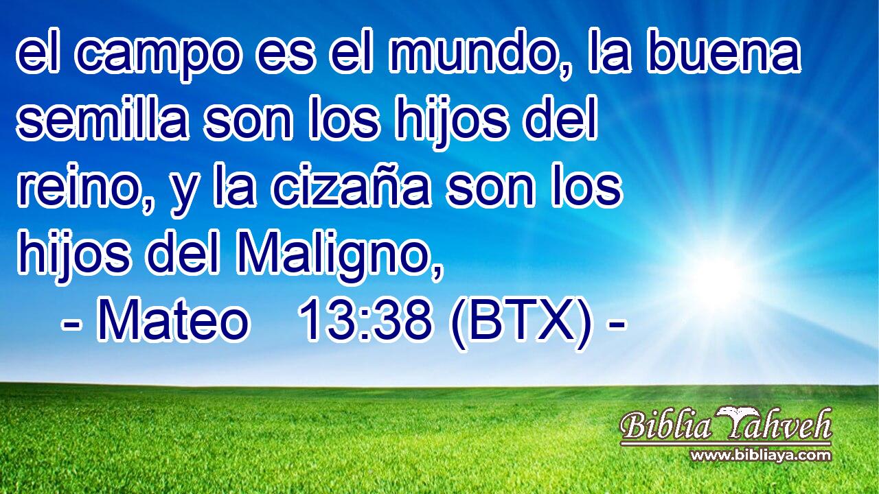 el campo es el mundo, la buena semilla son los hijos del reino, y la cizaña son los hijos del Maligno,