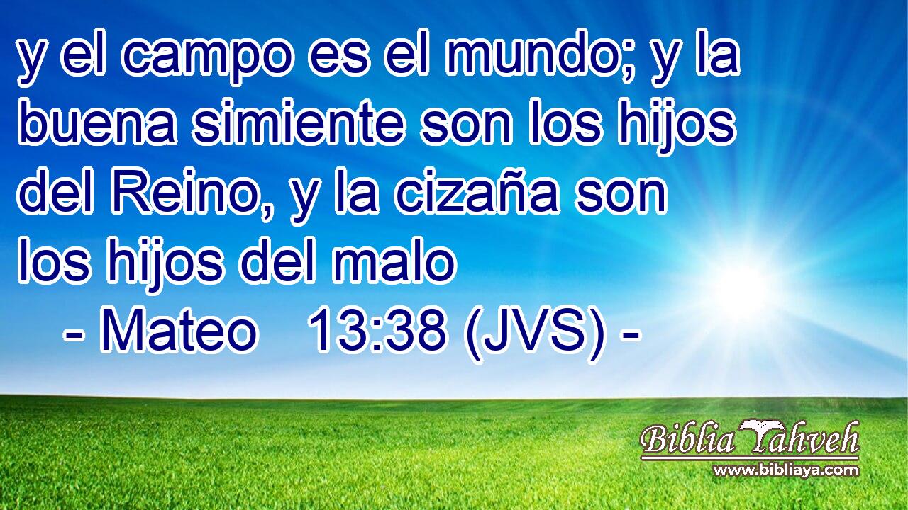 y el campo es el mundo; y la buena simiente son los hijos del Reino, y la cizaña son los hijos del malo