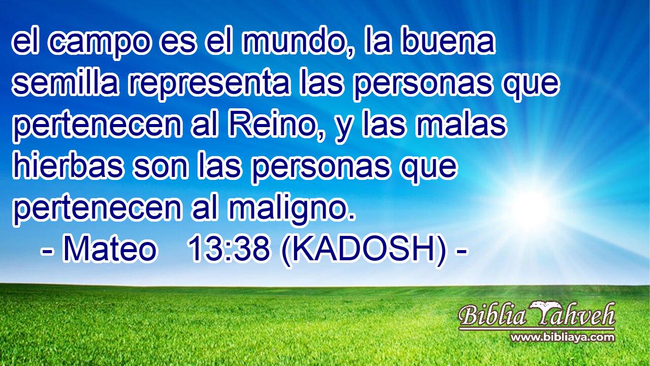  el campo es el mundo, la buena semilla representa las personas que pertenecen al Reino, y las malas hierbas son las personas que pertenecen al maligno. 