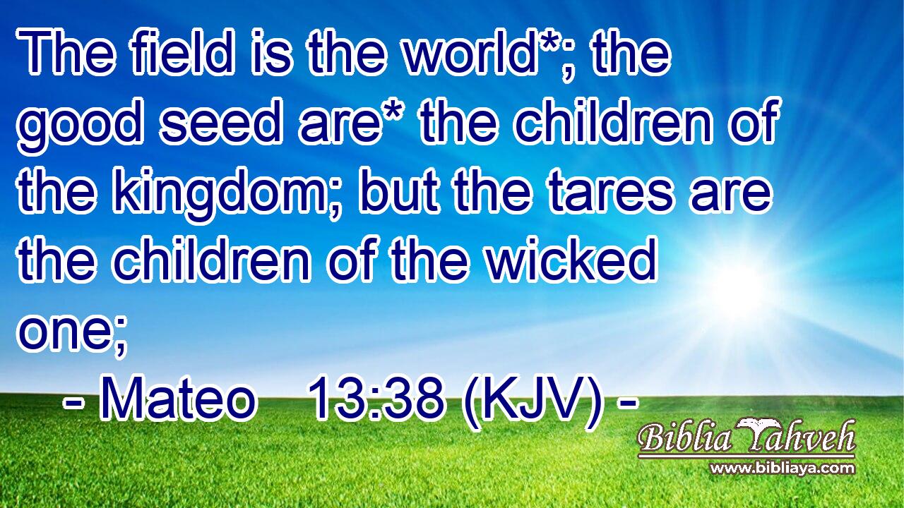 The field is the world*; the good seed are* the children of the kingdom; but the tares are the children of the wicked one;