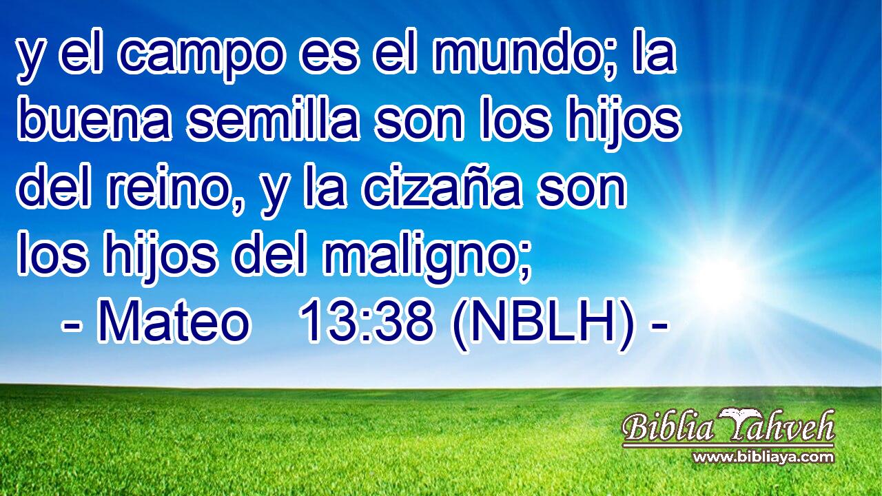  y el campo es el mundo; la buena semilla son los hijos del reino, y la cizaña son los hijos del maligno; 