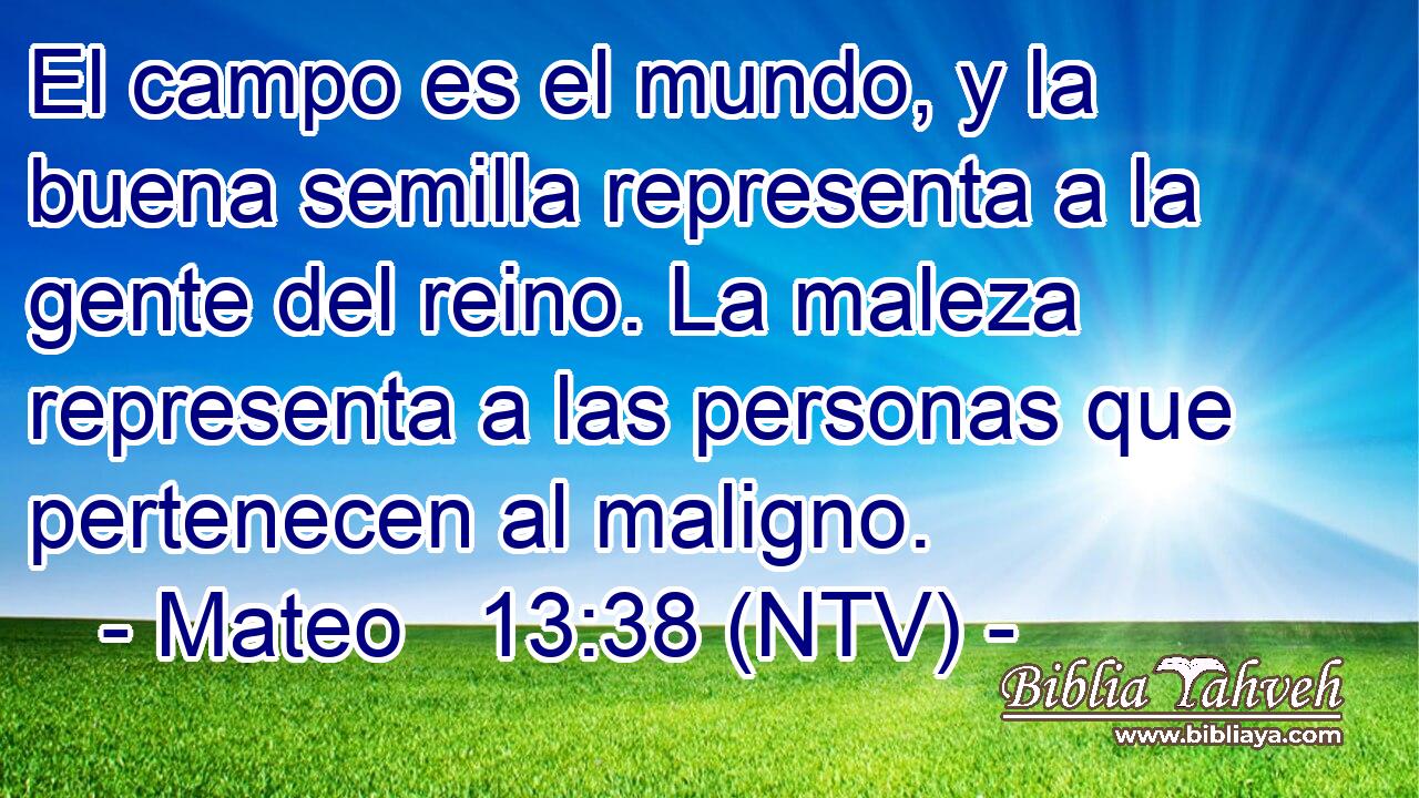 El campo es el mundo, y la buena semilla representa a la gente del reino. La maleza representa a las personas que pertenecen al maligno.