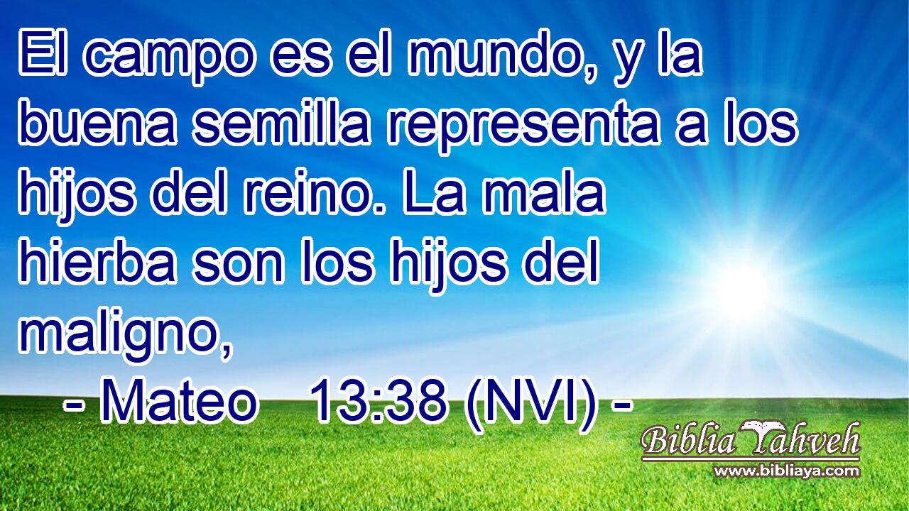  El campo es el mundo, y la buena semilla representa a los hijos del reino. La mala hierba son los hijos del maligno, 