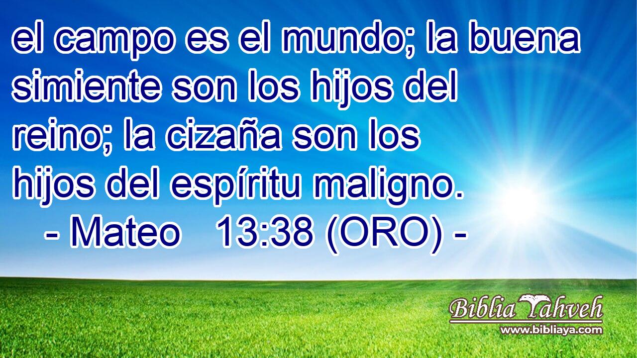 el campo es el mundo; la buena simiente son los hijos del reino; la cizaña son los hijos del espíritu maligno. 