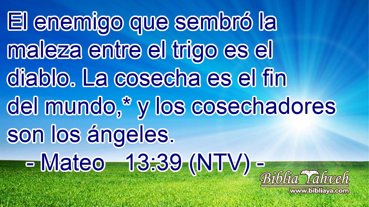El enemigo que sembró la maleza entre el trigo es el diablo. La cosecha es el fin del mundo,* y los cosechadores son los ángeles.