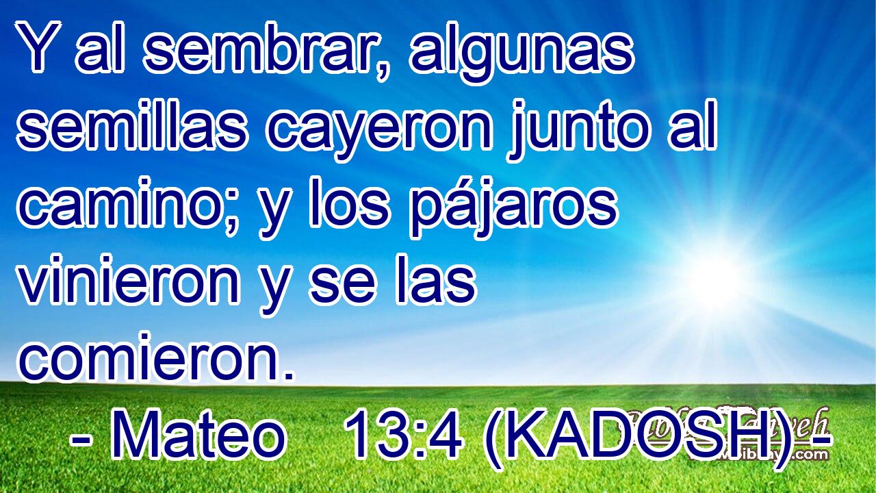  Y al sembrar, algunas semillas cayeron junto al camino; y los pájaros vinieron y se las comieron. 