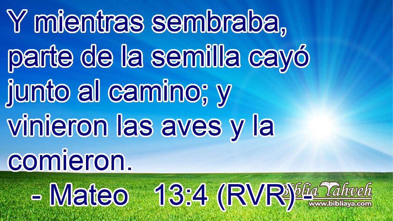 Y mientras sembraba, parte de la semilla cayó junto al camino; y vinieron las aves y la comieron.