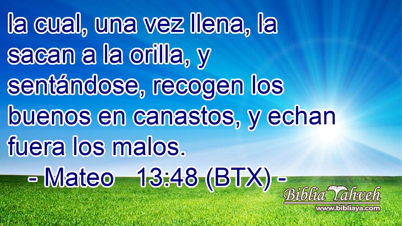 la cual, una vez llena, la sacan a la orilla, y sentándose, recogen los buenos en canastos, y echan fuera los malos.