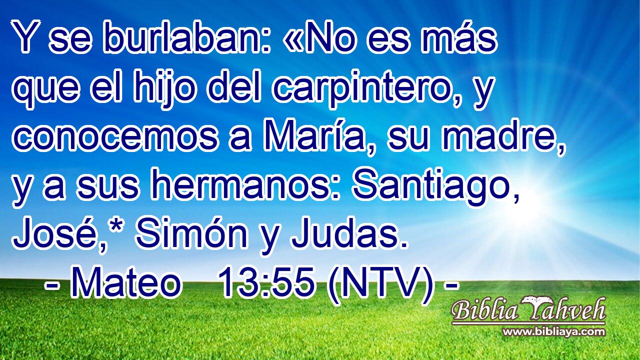Y se burlaban: «No es más que el hijo del carpintero, y conocemos a María, su madre, y a sus hermanos: Santiago, José,* Simón y Judas.