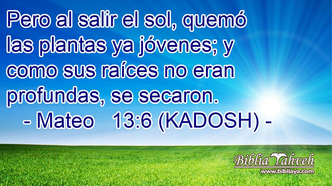  Pero al salir el sol, quemó las plantas ya jóvenes; y como sus raíces no eran profundas, se secaron. 