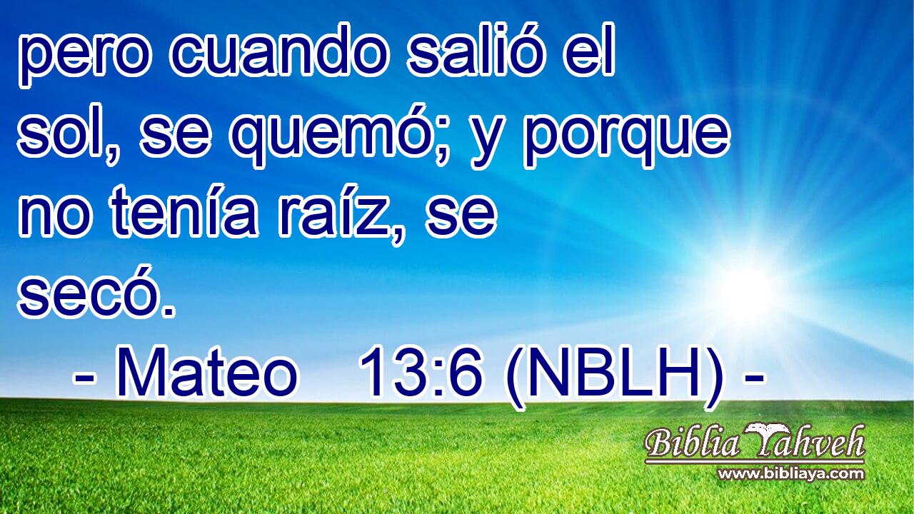 pero cuando salió el sol, se quemó; y porque no tenía raíz, se secó. 